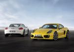 Porsche Cayman S 2013 года